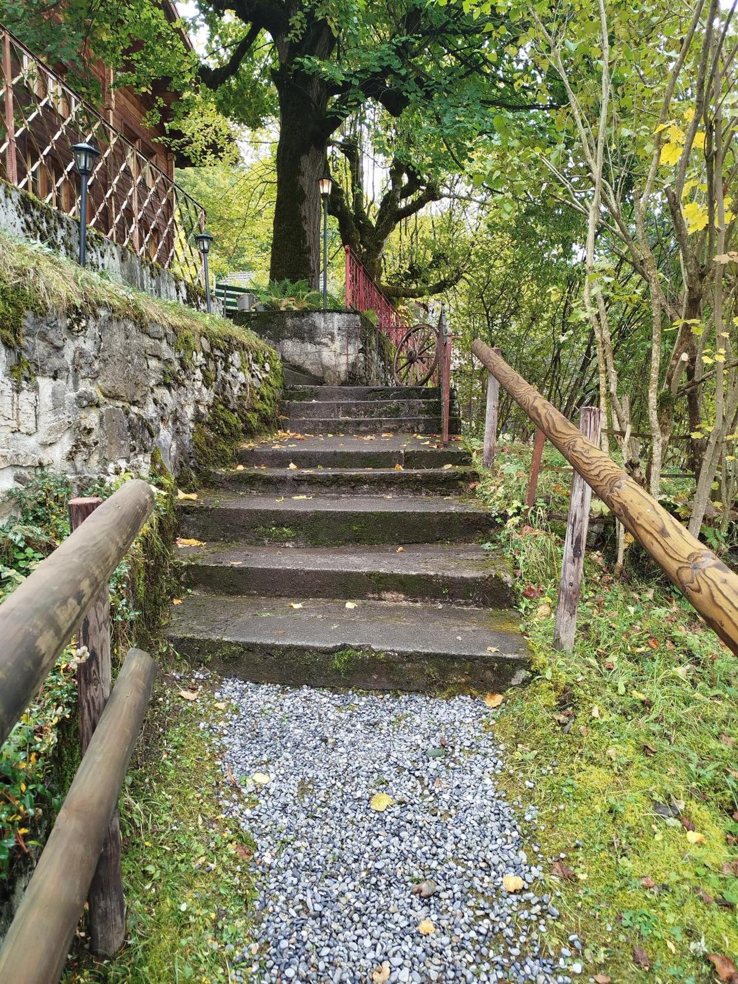 Sonnenhof Wengen - First Hotel Of Wengen Bagian luar foto